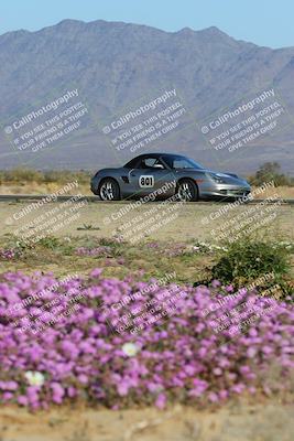 media/Jan-29-2023-PCA San Diego (Sun) [[aa0301ccc2]]/Yellow Group/Session 1 (Turn 15 Bloom)/